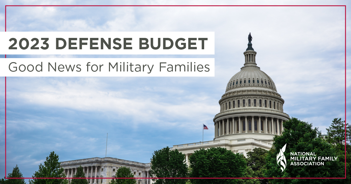 FY23 NDAA Wins and Losses