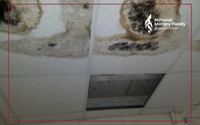 The MOLD Act Needs Your Support: Take Action Now