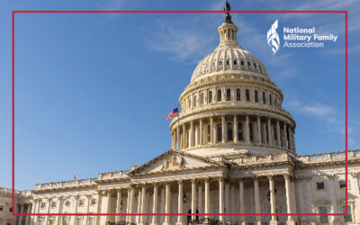 The U.S. Government is Shutdown. What Does This Mean for Military Families?