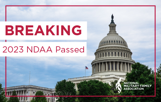 FY23 NDAA Wins and Losses