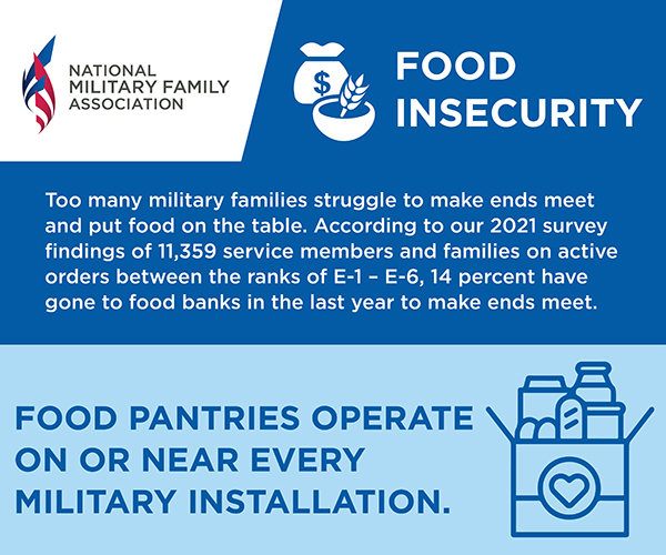 Food Insecurity graphic - 1