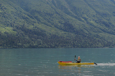 Operation Purple Camps