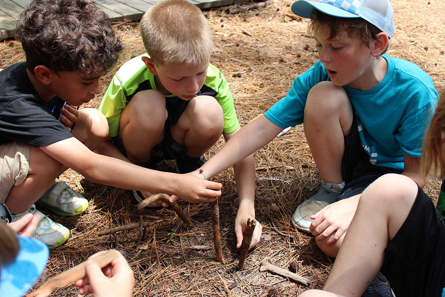 Operation Purple Camp